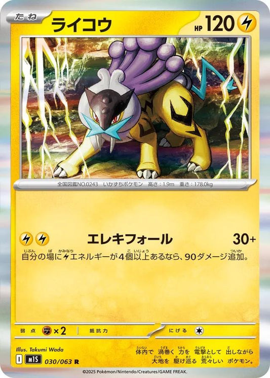 Pokémon Japanese Mega Symphonia Raikou #30