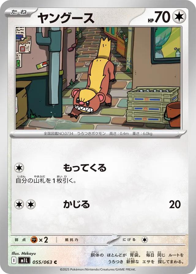 Pokémon Japanese Mega Brave Yungoos #55